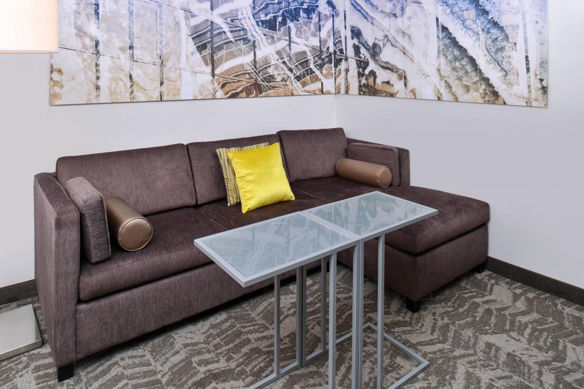 Springhill Suites By Marriott Detroit Metro Airport Romulus Zewnętrze zdjęcie