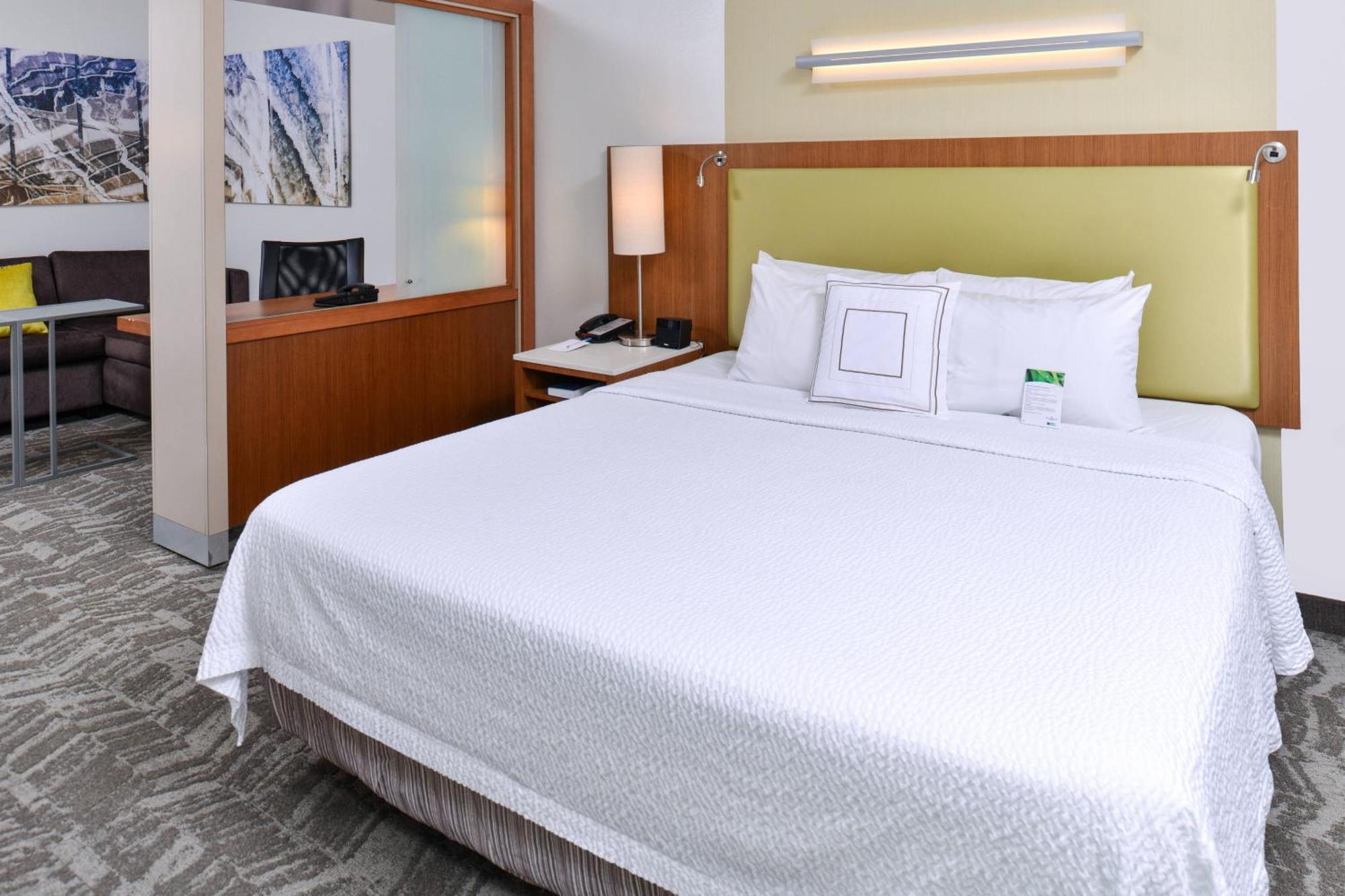 Springhill Suites By Marriott Detroit Metro Airport Romulus Zewnętrze zdjęcie