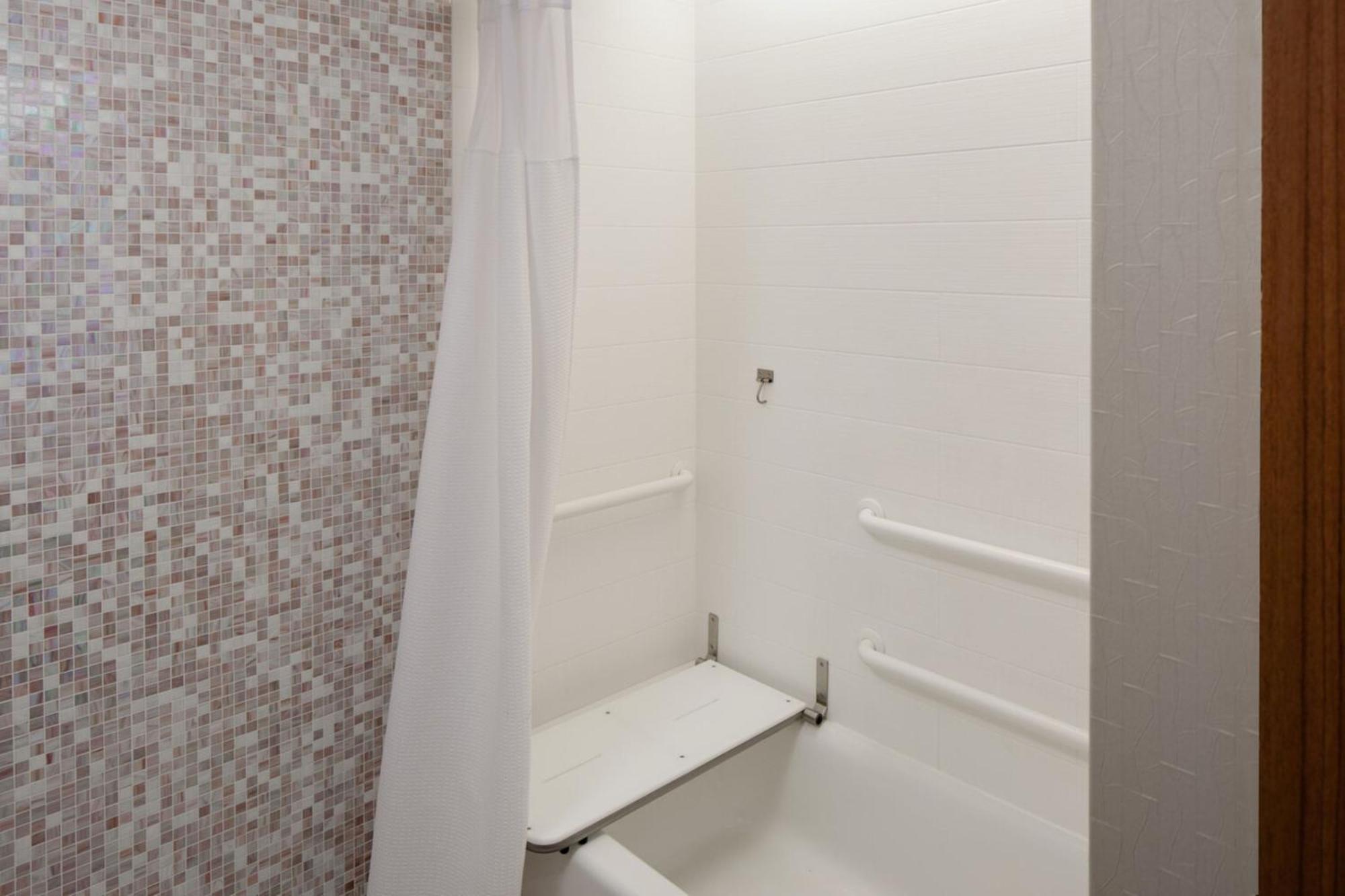 Springhill Suites By Marriott Detroit Metro Airport Romulus Zewnętrze zdjęcie