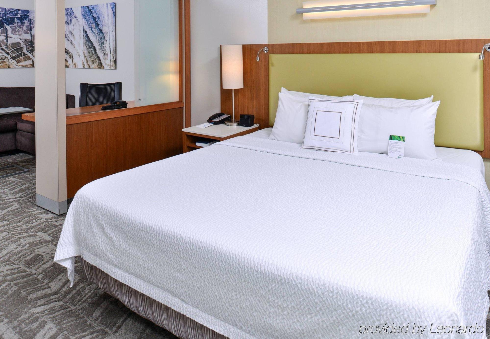 Springhill Suites By Marriott Detroit Metro Airport Romulus Zewnętrze zdjęcie